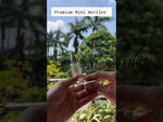 Load and play video in Gallery viewer, [ZMS61] Mini Glass Perfume Bottle With Silver Cap
