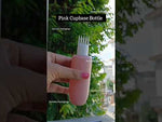 Load and play video in Gallery viewer, [ZMWH30] Pink Cupbase Bottle With White  Applicator Cap - 50ml , 100ml &amp; 250ml
