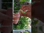 Load and play video in Gallery viewer, [ZMWH34] Pink Cupbase Bottle With Golden Push Button Droper  - 50ml &amp; 100ml
