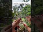 Load and play video in Gallery viewer, [ZMS02] Transparent Glass Perfume Bottle With Simple Black  Cap - 30ml
