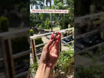 Load and play video in Gallery viewer, [ZMPC42]Perfume Caps
