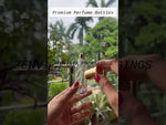 Load and play video in Gallery viewer, [ZMS04] Transparent Glass Perfume Bottle With Gold  Cap - 30ml

