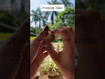 Load and play video in Gallery viewer, [ZMPC27] Golden Aluminium Tin Cap - 20mm, 24mm
