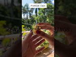 Load and play video in Gallery viewer, [ZMPC03] Gold Locket Fliptop Cap-20mm &amp; 24mm
