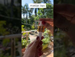 Load and play video in Gallery viewer, [ZMPC04] Gold White Dispenser Pump- 24mm
