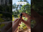 Load and play video in Gallery viewer, [ZMPC13] Gold Black Mist Spray Pump With Transparent Cap- 20mm &amp; 24mm
