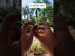 Load and play video in Gallery viewer, [ZMPC17] Gold White Disktop Cap - 24mm

