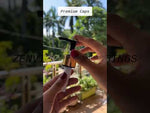 Load and play video in Gallery viewer, [ZMPC05] Gold Black Dispenser Pump_-24mm
